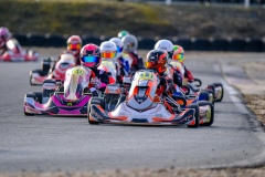 ©LGP-OPENKART2025-15022025-LGP02079