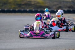 ©LGP-OPENKART2025-15022025-LGP02093