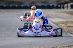 ©LGP-OPENKART2025-15022025-LGP02098