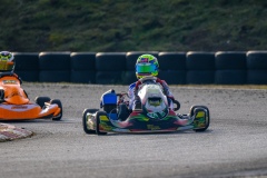 ©LGP-OPENKART2025-15022025-LGP02100
