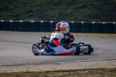 ©LGP-OPENKART2025-15022025-LGP02111