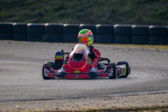 ©LGP-OPENKART2025-15022025-LGP02113