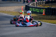 ©LGP-OPENKART2025-15022025-LGP02134