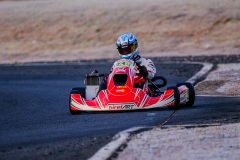 ©LGP-OPENKART2025-15022025-LGP09864