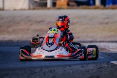©LGP-OPENKART2025-15022025-LGP09946