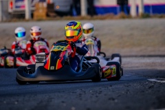 ©LGP-OPENKART2025-15022025-LGP09952