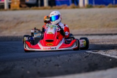 ©LGP-OPENKART2025-15022025-LGP09978