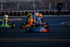 ©LGP-OPENKART2025-16022025-LGP02208