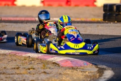 ©LGP-OPENKART2025-16022025-LGP02212