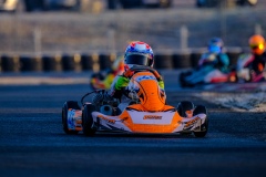 ©LGP-OPENKART2025-16022025-LGP02262