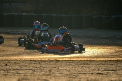 ©LGP-OPENKART2025-16022025-LGP02322
