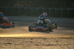 ©LGP-OPENKART2025-16022025-LGP02345