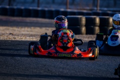 ©LGP-OPENKART2025-16022025-LGP02426