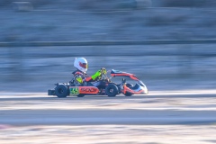 ©LGP-OPENKART2025-16022025-LGP02445
