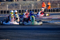 ©LGP-OPENKART2025-16022025-LGP02480