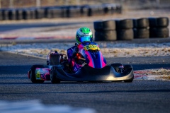 ©LGP-OPENKART2025-16022025-LGP02517