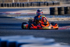 ©LGP-OPENKART2025-16022025-LGP02527