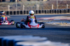 ©LGP-OPENKART2025-16022025-LGP02531
