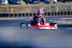 ©LGP-OPENKART2025-16022025-LGP02542