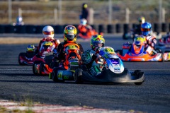 ©LGP-OPENKART2025-16022025-LGP02559