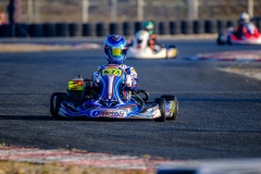 ©LGP-OPENKART2025-16022025-LGP02563