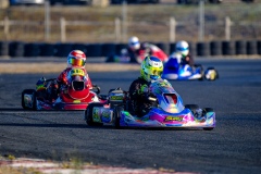 ©LGP-OPENKART2025-16022025-LGP02566
