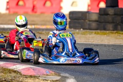 ©LGP-OPENKART2025-16022025-LGP02578
