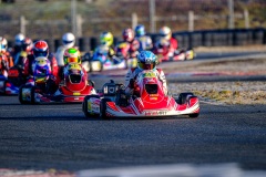 ©LGP-OPENKART2025-16022025-LGP02580