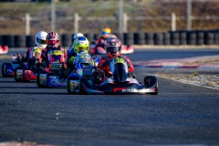 ©LGP-OPENKART2025-16022025-LGP02602