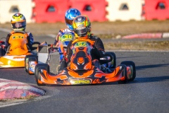 ©LGP-OPENKART2025-16022025-LGP02610