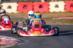 ©LGP-OPENKART2025-16022025-LGP02629