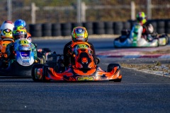©LGP-OPENKART2025-16022025-LGP02639