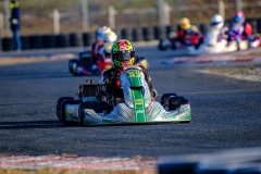 ©LGP-OPENKART2025-16022025-LGP02642