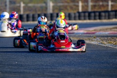 ©LGP-OPENKART2025-16022025-LGP02644