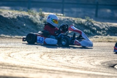 ©LGP-OPENKART2025-16022025-LGP02709