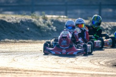 ©LGP-OPENKART2025-16022025-LGP02723