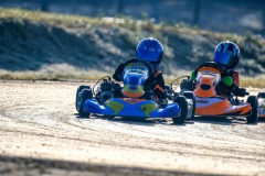 ©LGP-OPENKART2025-16022025-LGP02748