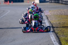 ©LGP-OPENKART2025-16022025-LGP02856