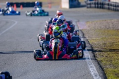 ©LGP-OPENKART2025-16022025-LGP02857