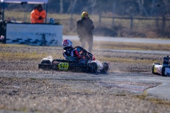 ©LGP-OPENKART2025-16022025-LGP02907