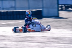 ©LGP-OPENKART2025-16022025-LGP03054