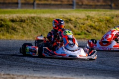 ©LGP-OPENKART2025-16022025-LGP03172