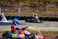 ©LGP-OPENKART2025-16022025-LGP03183