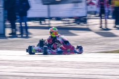 ©LGP-OPENKART2025-16022025-LGP03242