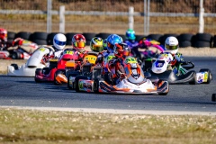 ©LGP-OPENKART2025-16022025-LGP03246