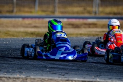 ©LGP-OPENKART2025-16022025-LGP03353