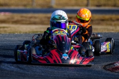©LGP-OPENKART2025-16022025-LGP03355