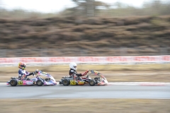 HYPE_RMCF_SALBRIS_2025-1843