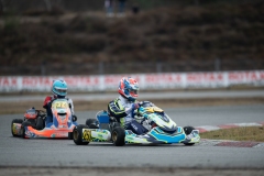 HYPE_RMCF_SALBRIS_2025-5750