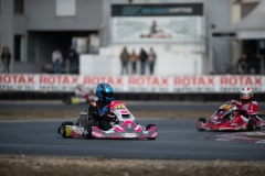 HYPE_RMCF_SALBRIS_2025-5972